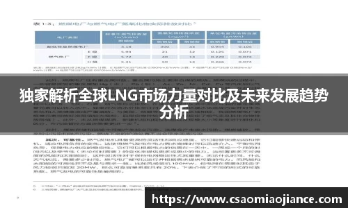 77体育电脑版