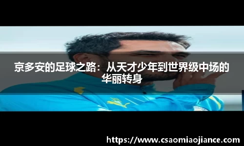 77体育电脑版
