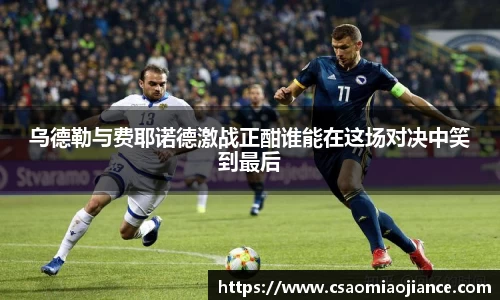 77体育app下载官网