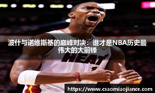 波什与诺维斯基的巅峰对决：谁才是NBA历史最伟大的大前锋