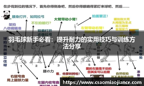 77体育app下载官网