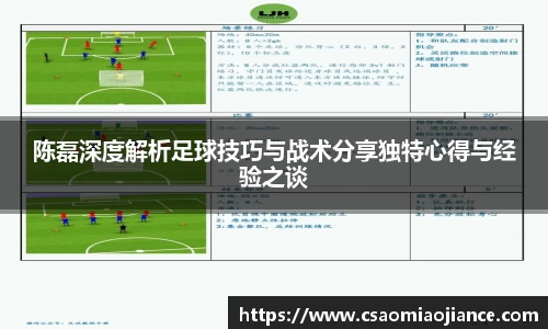 陈磊深度解析足球技巧与战术分享独特心得与经验之谈